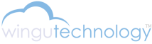 Wingu Technology - Managed IT Services